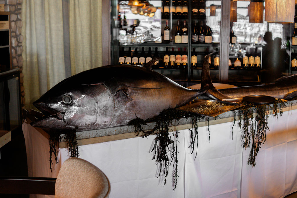 TUNA SHOW by Arie Kuijt